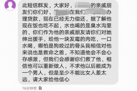 邵阳县债务清欠服务